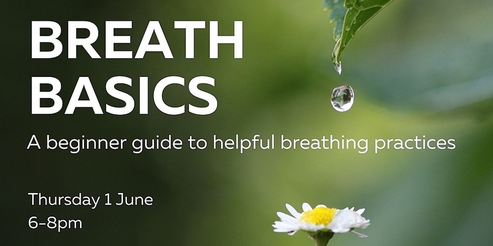 Banner image for BREATH BASICS: A beginner guide to helpful breathing practices