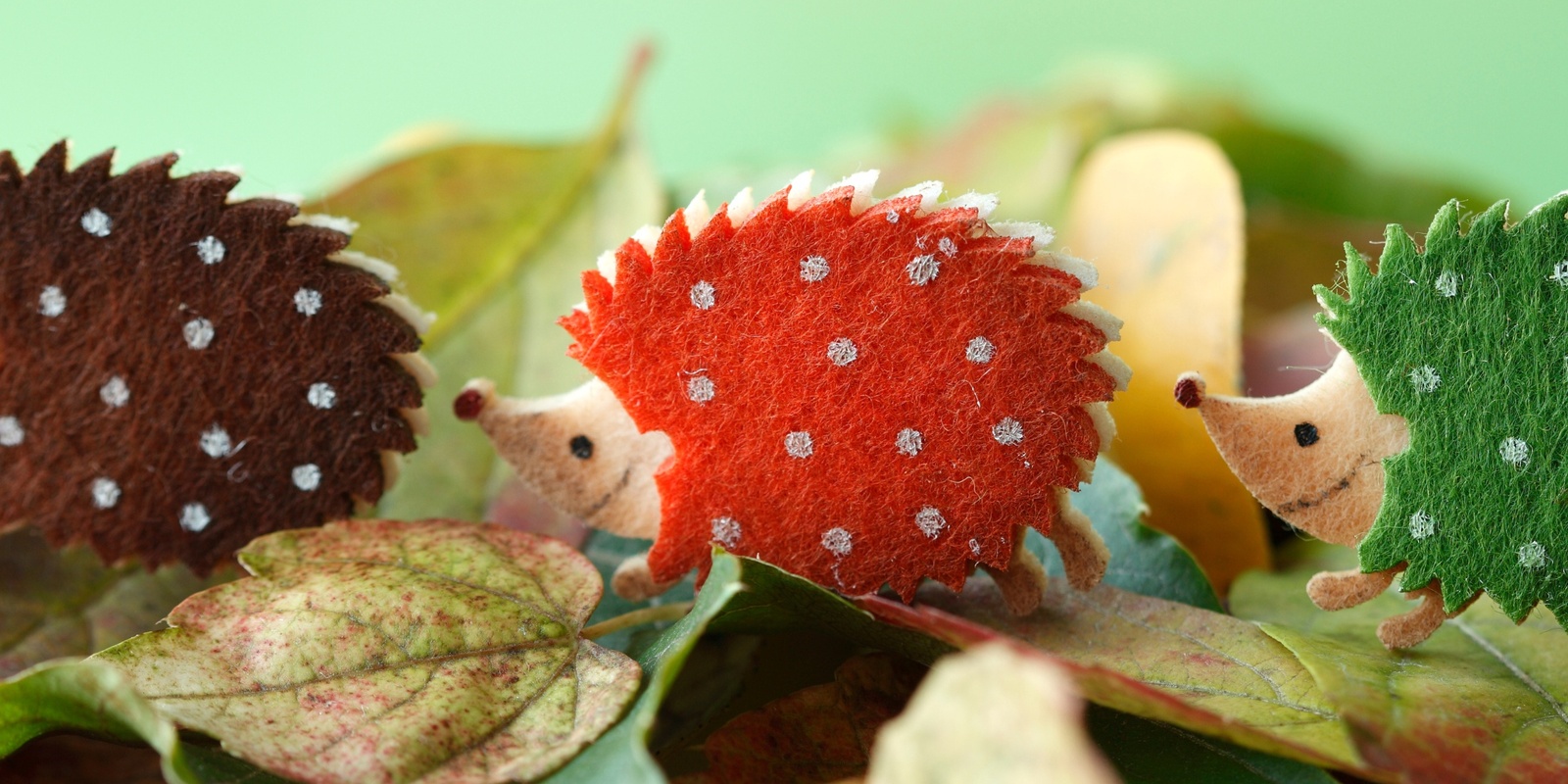 Banner image for Aussie Animal Felt Art - Ballan Library