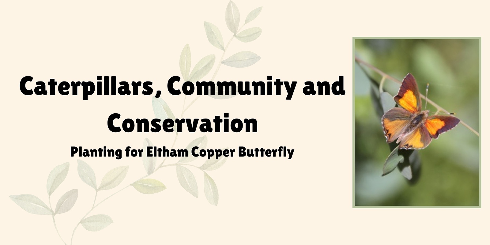 Banner image for Caterpillars, Community and Conservation 