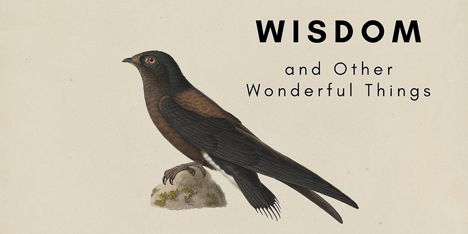 Banner image for Wisdom and Other Wonderful Things