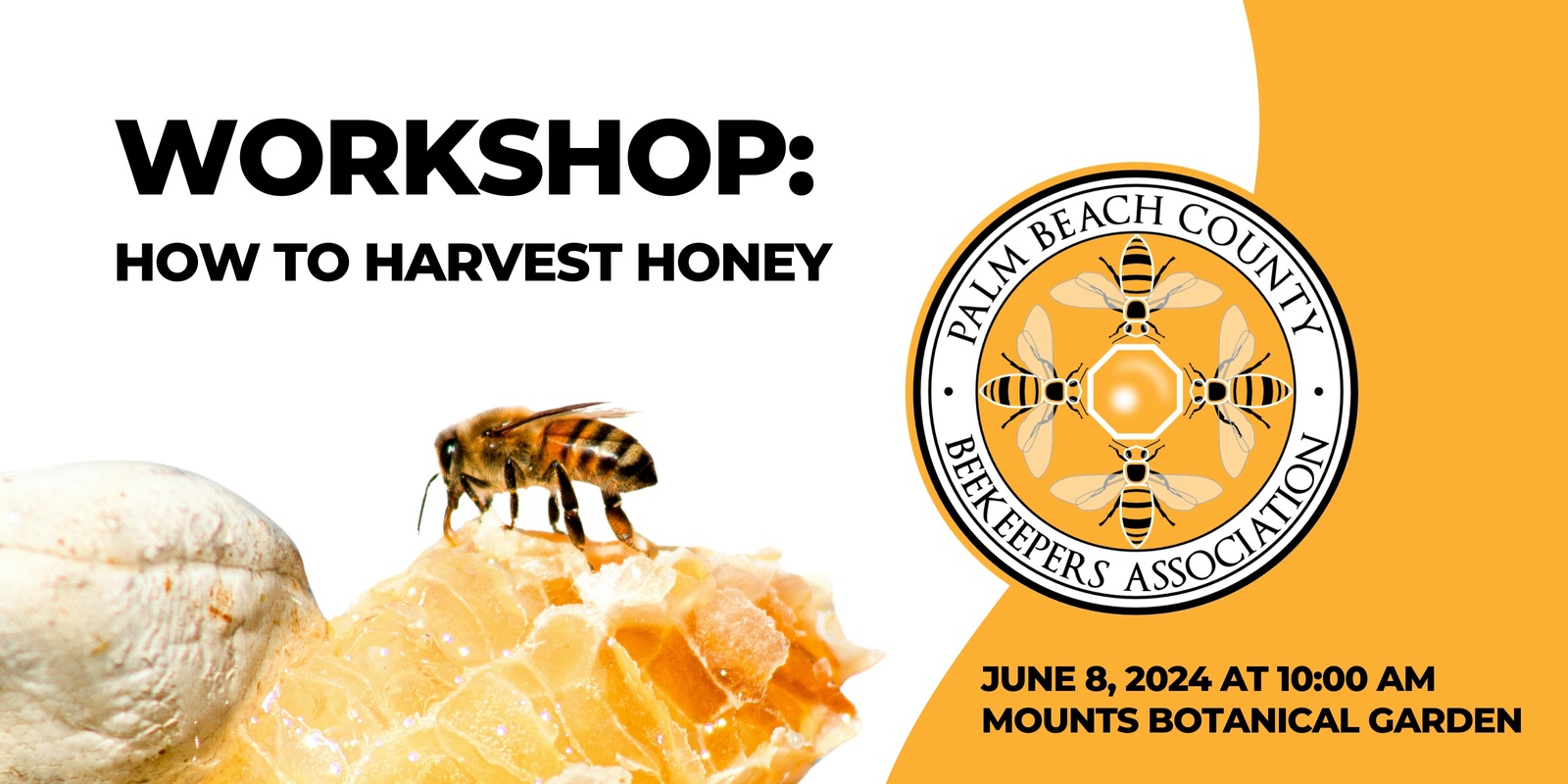 Banner image for WORKSHOP:  How To Harvest Honey