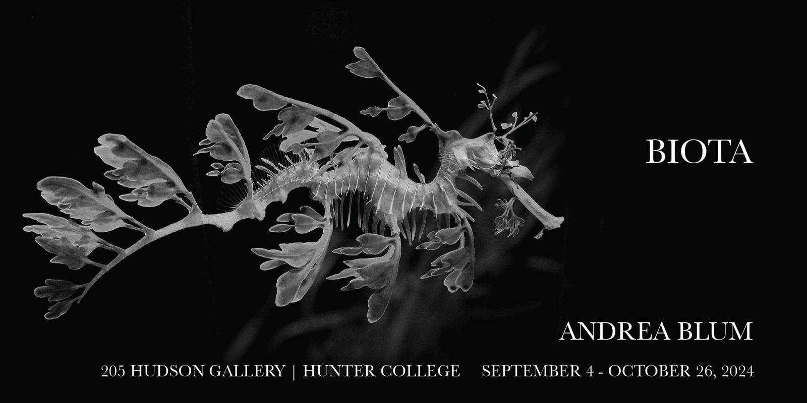 Banner image for Andrea Blum: BIOTA Public Lecture