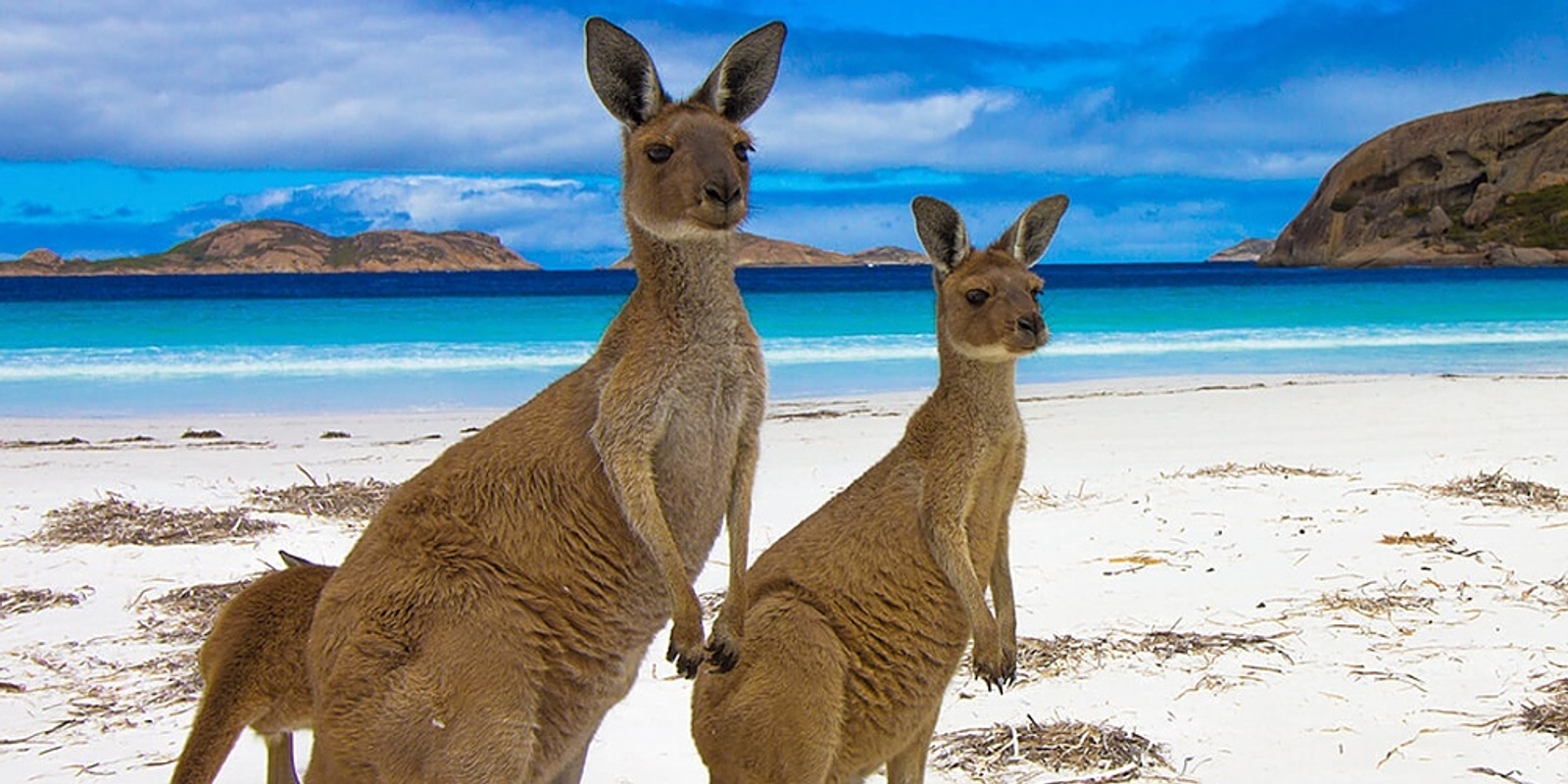 Banner image for Resource Box Live Lectures: 25th May 1pm AEST - Kangaroo Island with Topa Petit