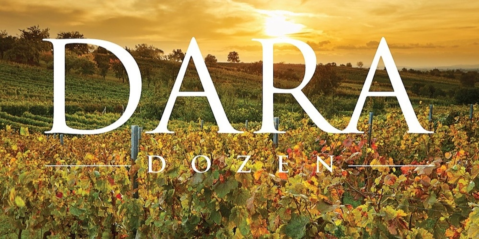 Banner image for Daramalan College - Dara Dozen 2022