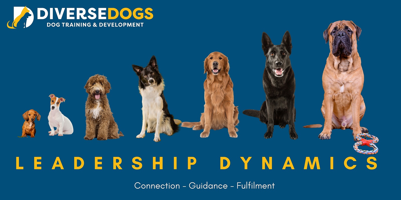 Banner image for DIVERSE DOGS LEADERSHIP DYNAMICS WORKSHOP