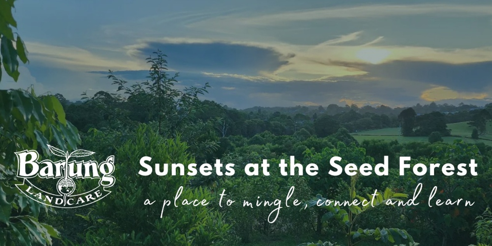 Banner image for Sunsets at the Seed Forest - October 2024