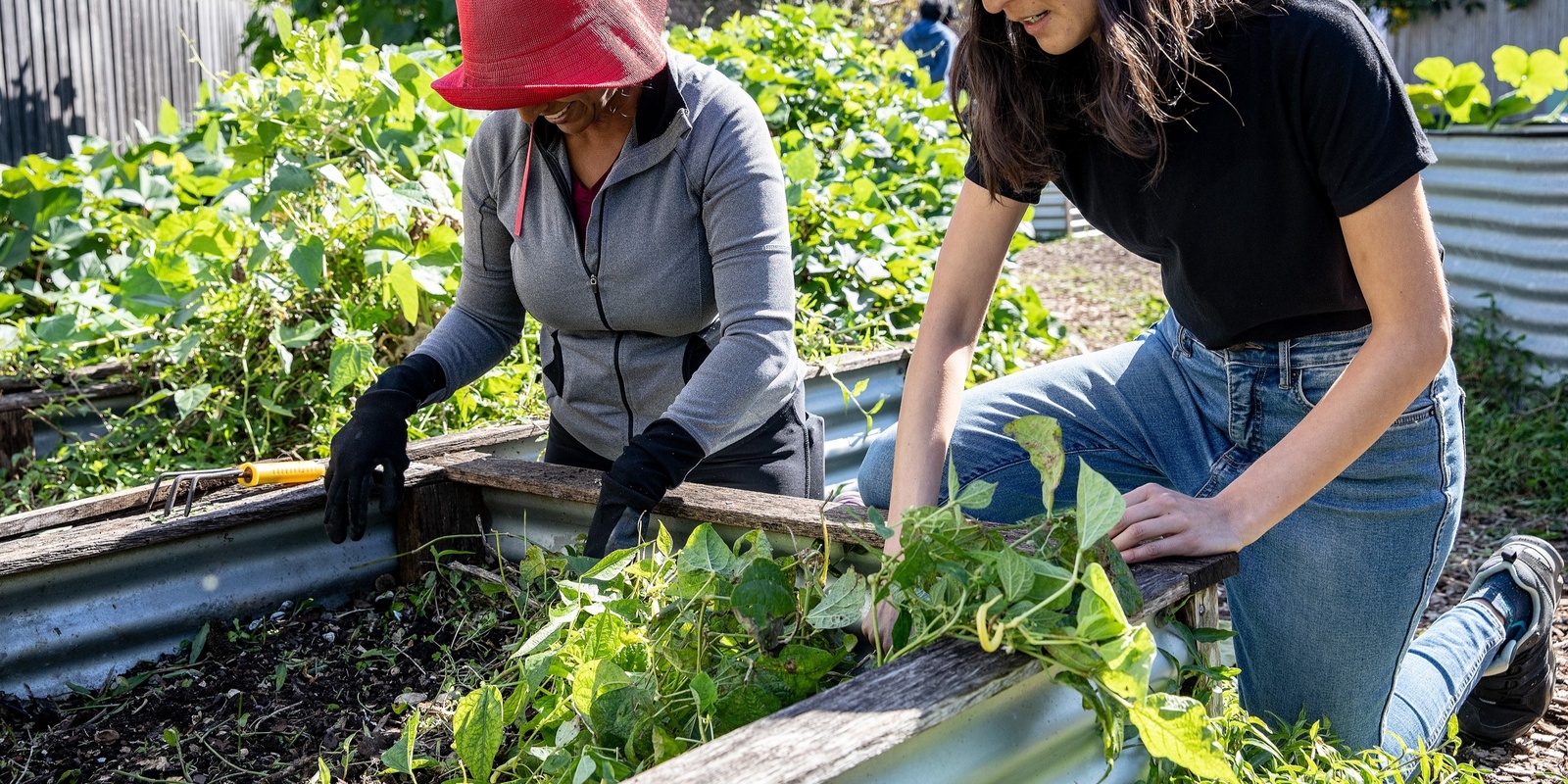 Banner image for Healthy Edible Garden Series: Creating a No-dig Garden bed