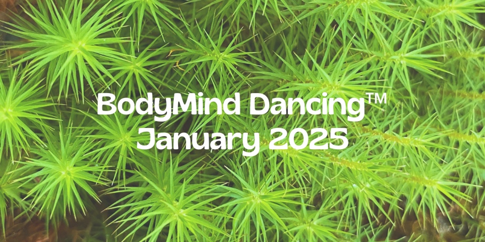 Banner image for BodyMind Dancing™ online January 2025