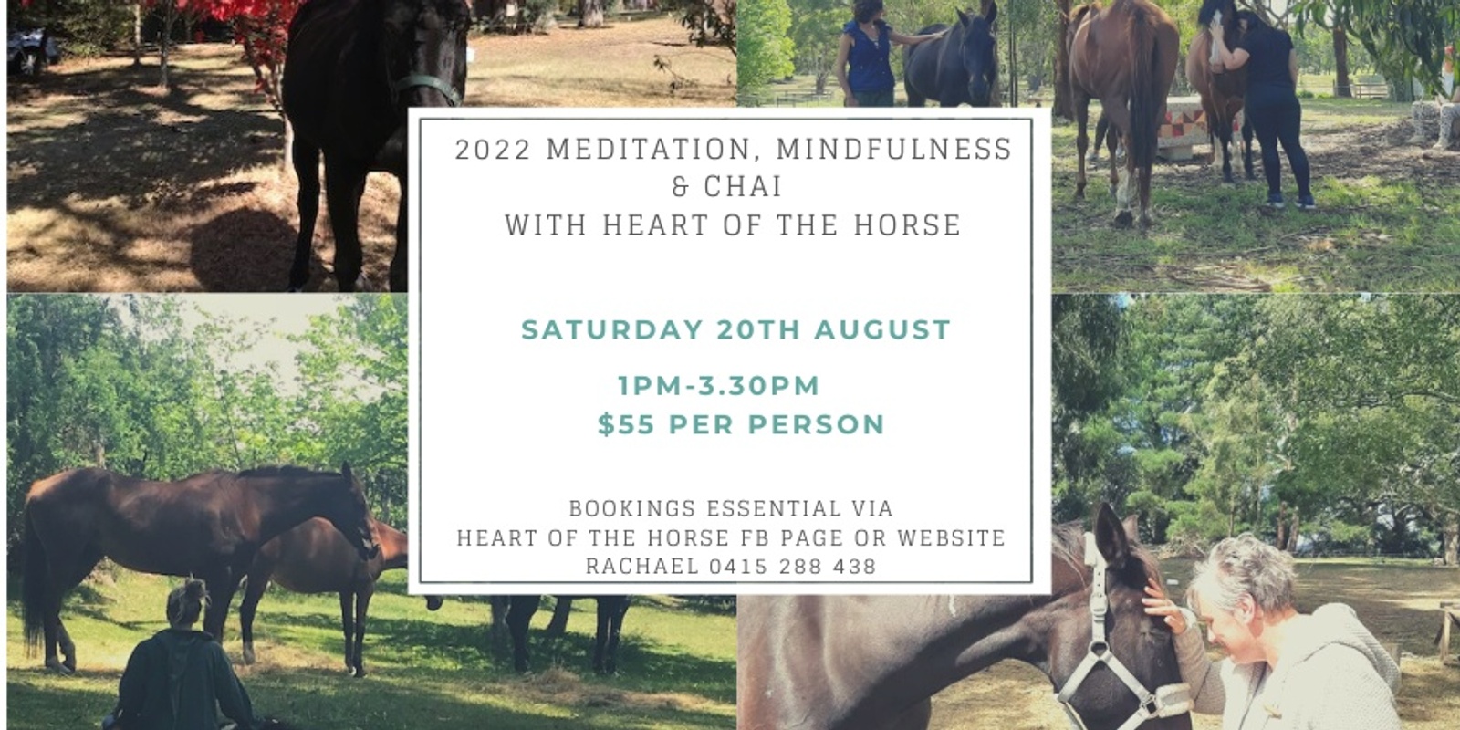 Banner image for Meditation, Mindfulness & Chai with Heart of the Horse 20th August 2022