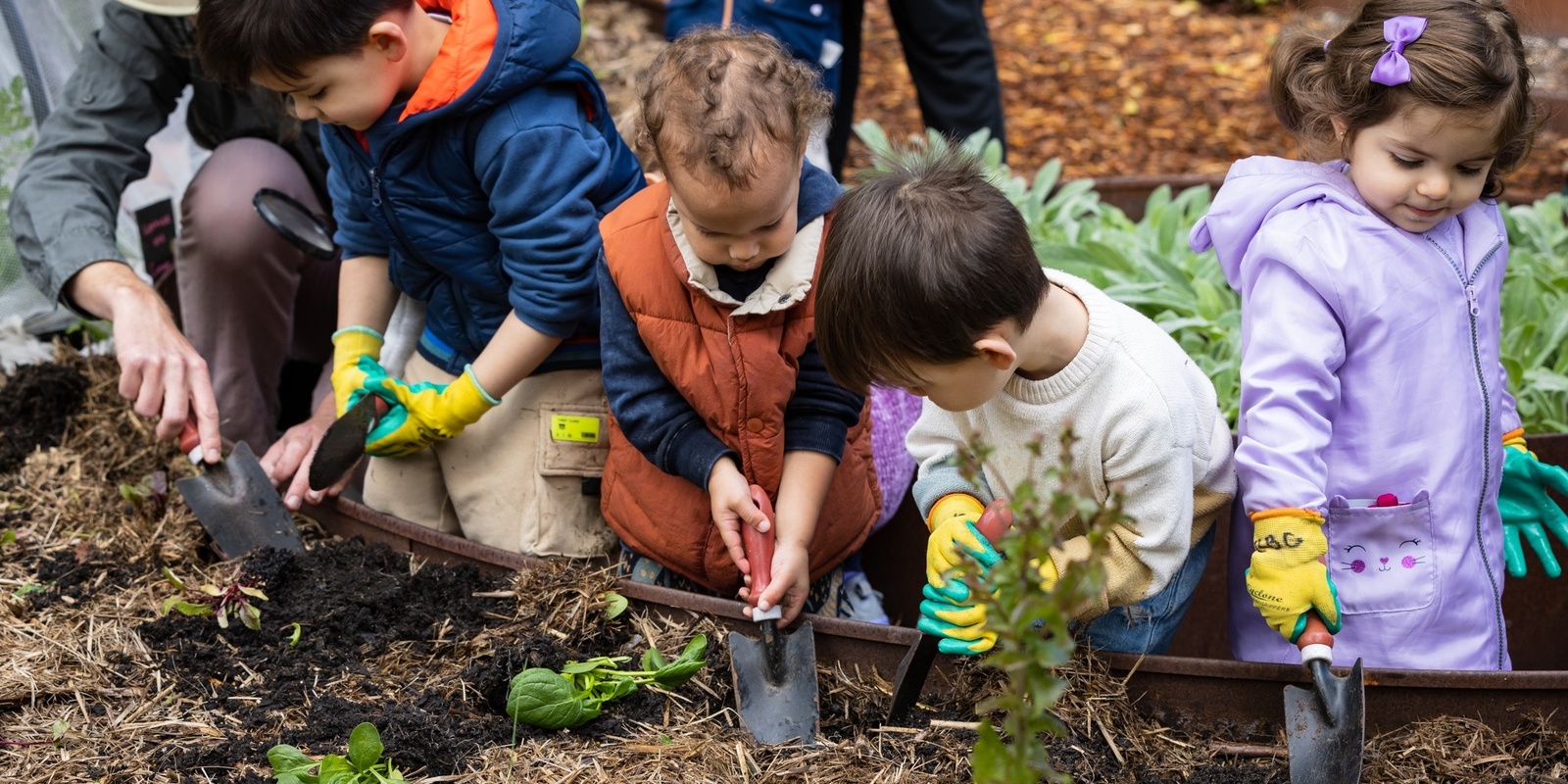 Banner image for Seedlings Nature School Taster - Royal Botanic Garden Sydney