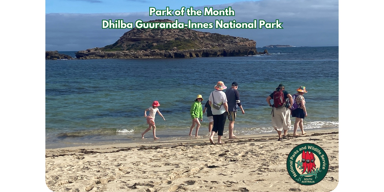 Banner image for Discover a Marine Sanctuary: Family Beach walk