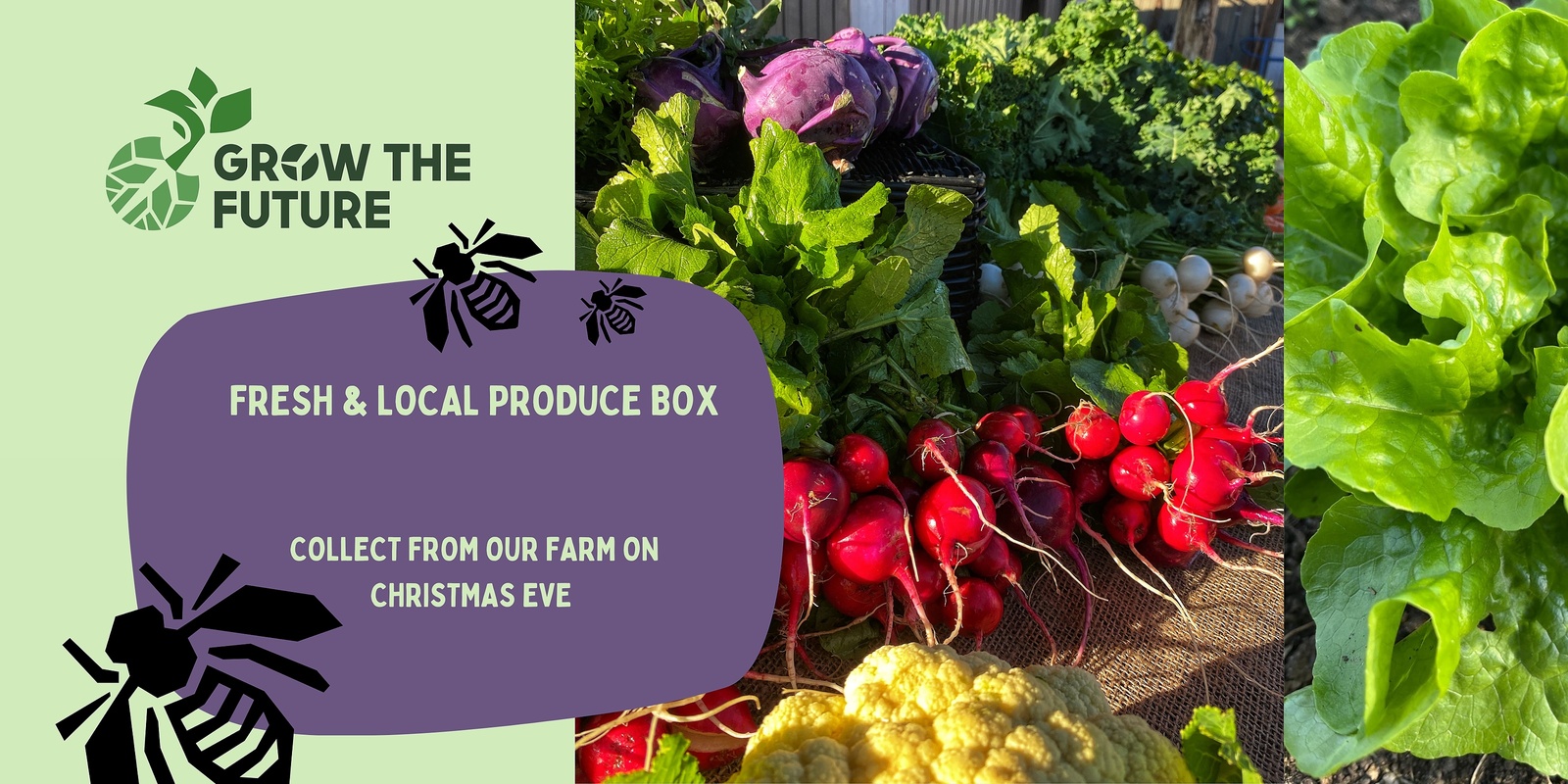 Banner image for Grow The Future Christmas Produce box