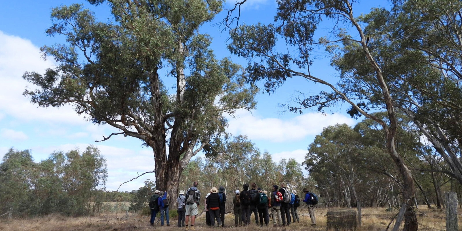 Banner image for Victorian Reserves Guided Visits - Fri 20 and Sat 21 September 2024