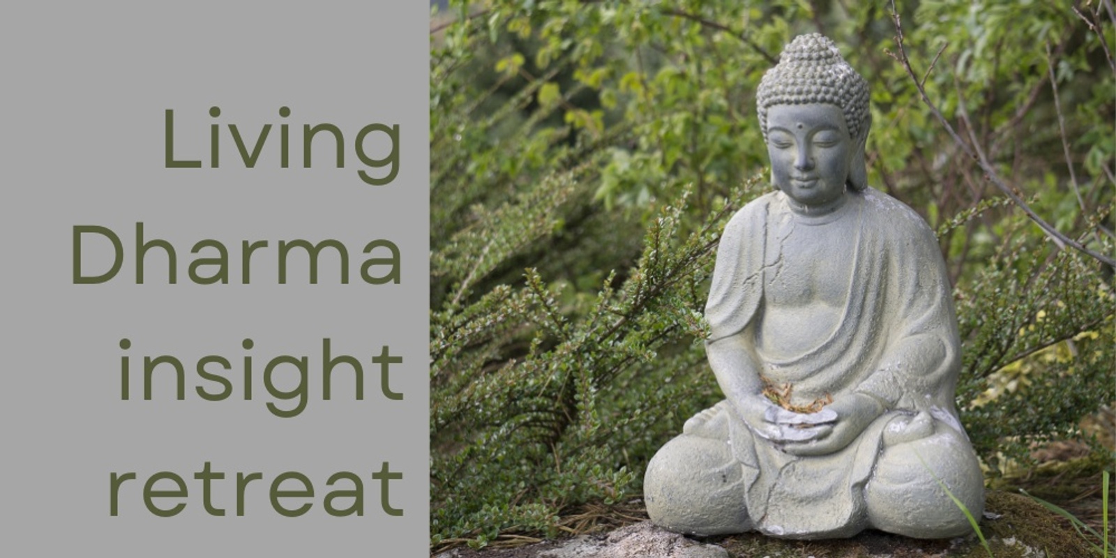 Banner image for Living Dharma Insight Retreat