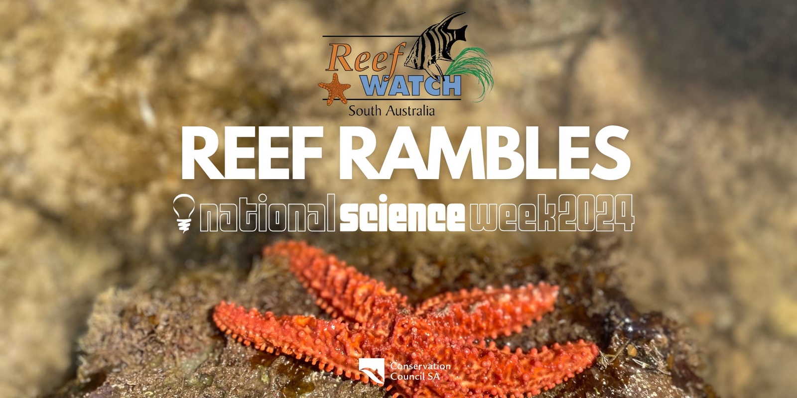 Banner image for Reef Rambles at Robe - Saturday August 10