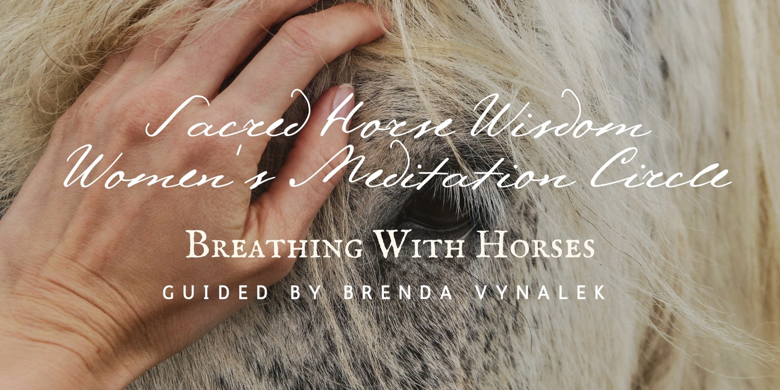 Banner image for Sacred Horse Wisdom: Breathing With Horses