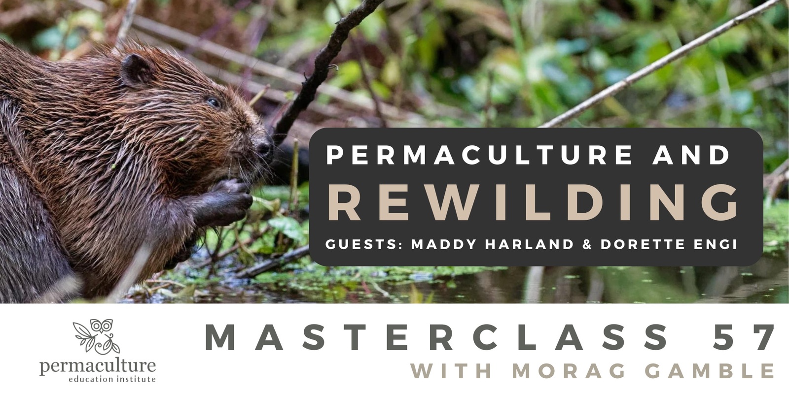 Banner image for Permaculture & Rewilding. Morag Gamble with guests Maddy Harland & Dorette Engi