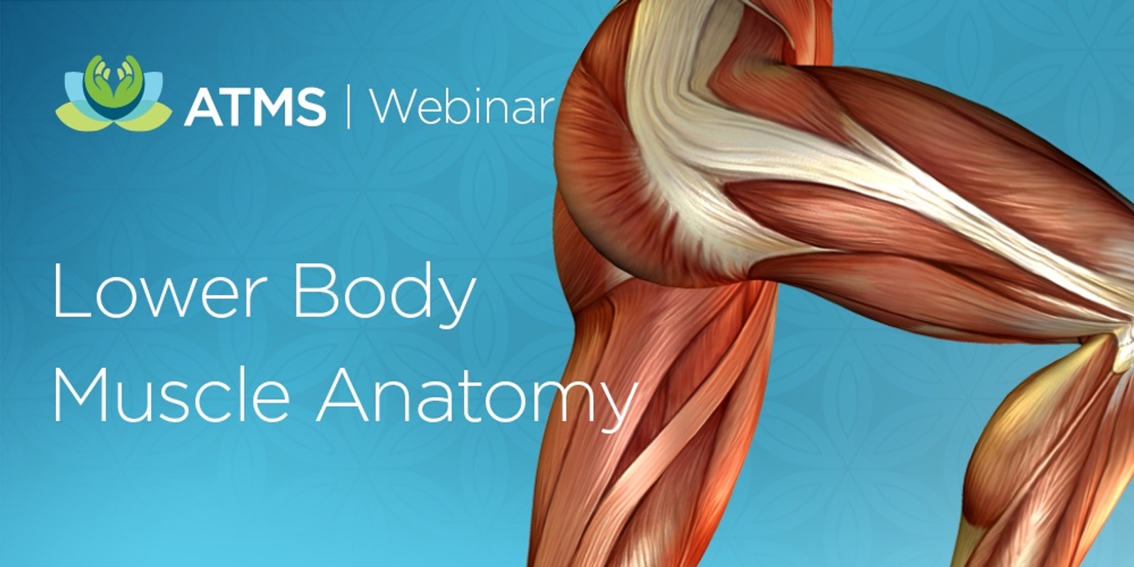 Webinar Recording: Anatomy Revision - Muscles of the Lower Body