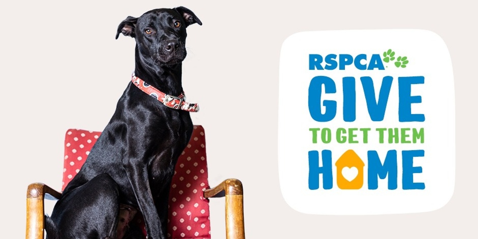 Banner image for RSPCA Queensland’s Give To Get Them Home Appeal Mackay 2023