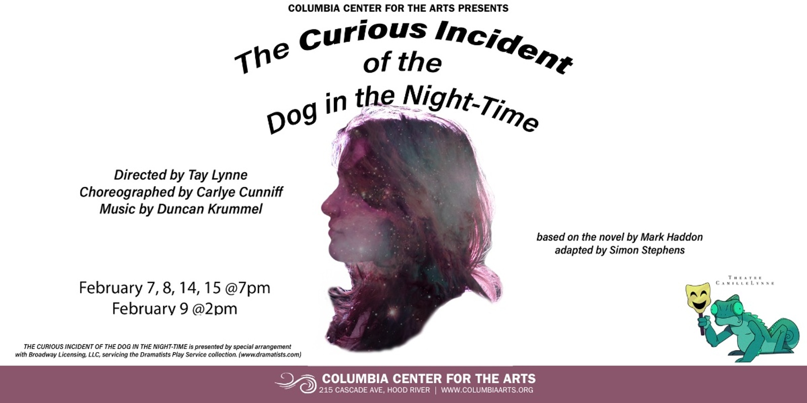 Banner image for The Curious Incident of the Dog in the Night-Time