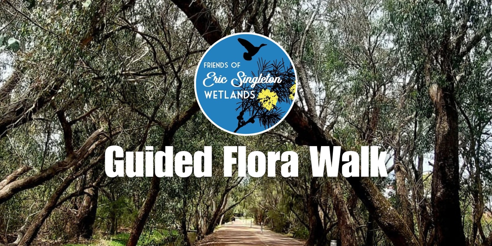 Banner image for A guided flora walk of Eric Singleton Wetlands