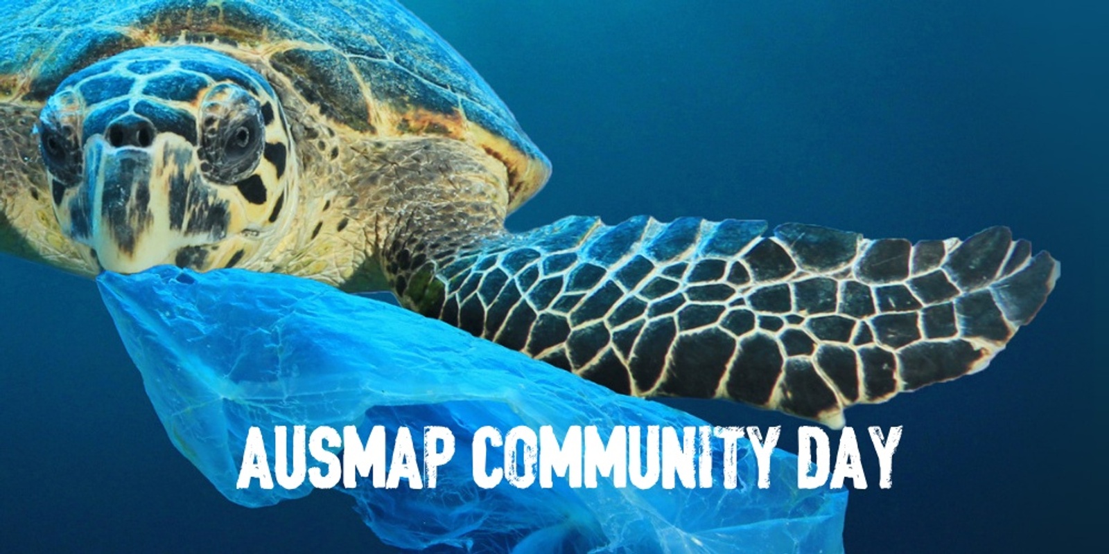 Banner image for Microplastics in the Northern Beaches, Sydney - AUSMAP DEE WHY COMMUNITY EVENT