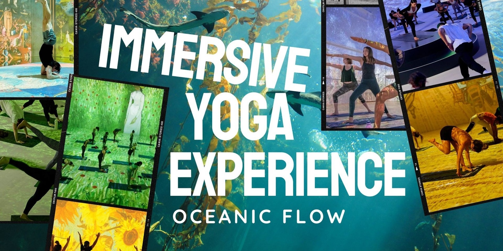 Banner image for Immersive Yoga Event: Oceanic Flow