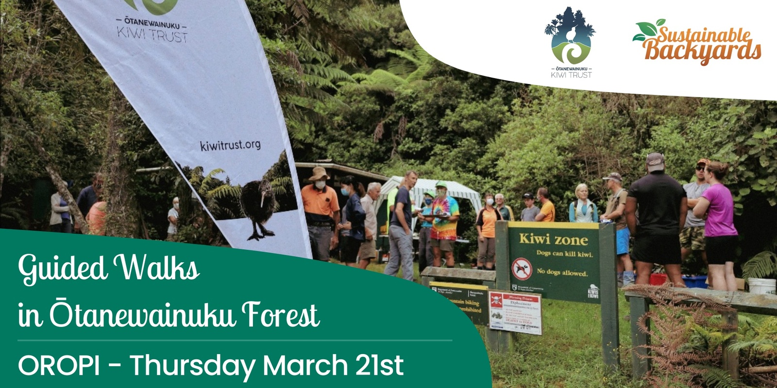 Banner image for Guided Walks in Otanewainuku Forest
