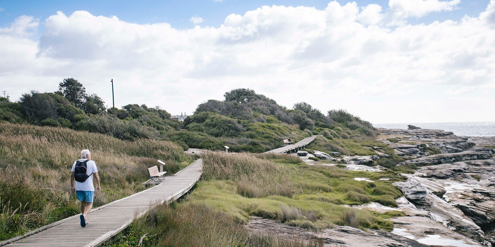 Banner image for Coastal Walk: Ecology and Conservation Tour