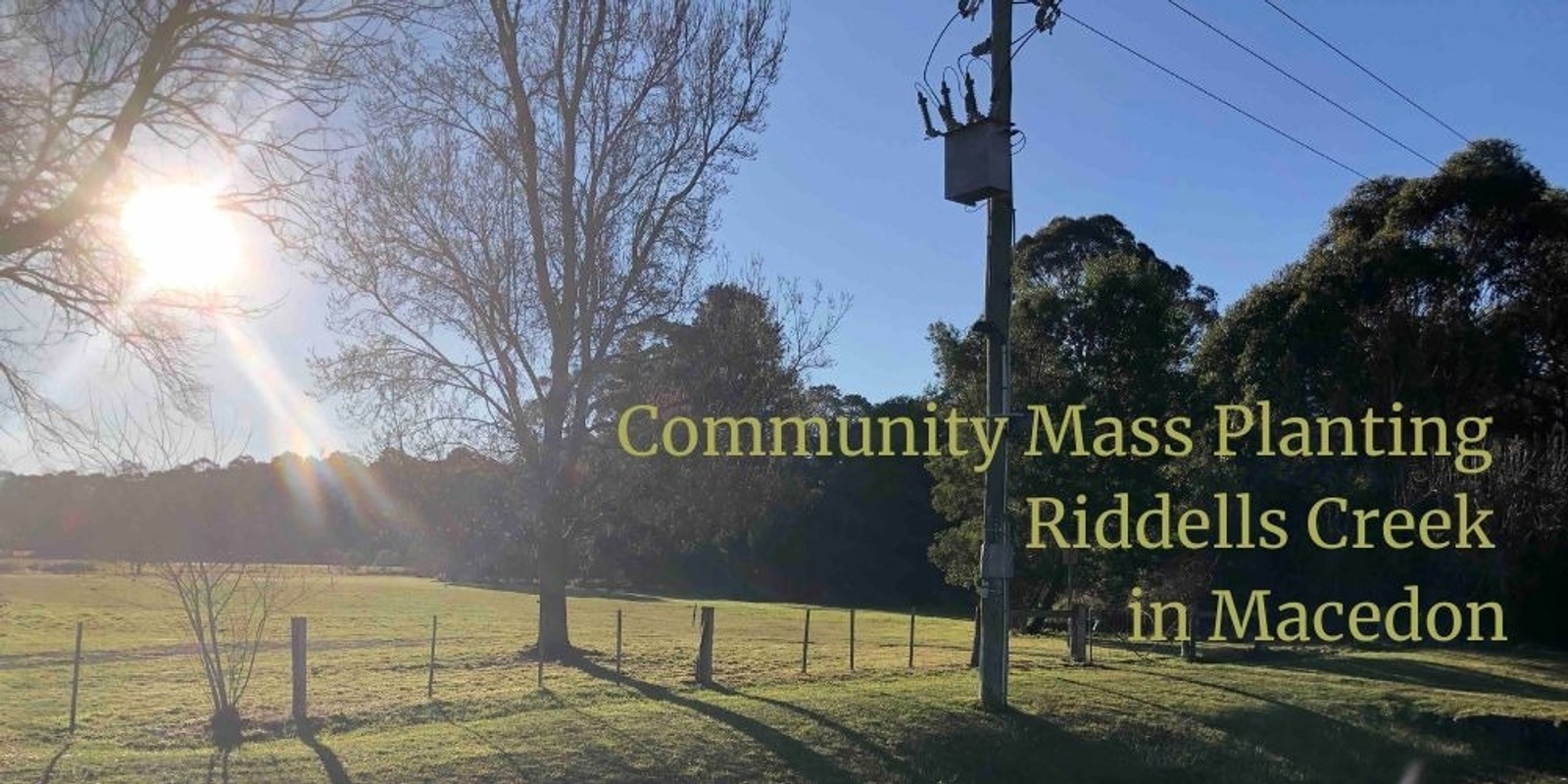 Banner image for Mass planting on Riddells Creek in Macedon