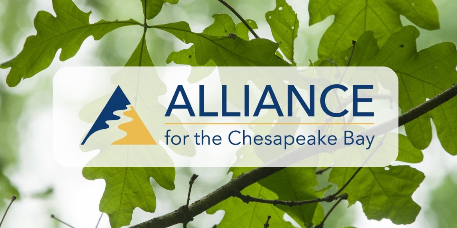 Alliance for the Chesapeake Bay's banner