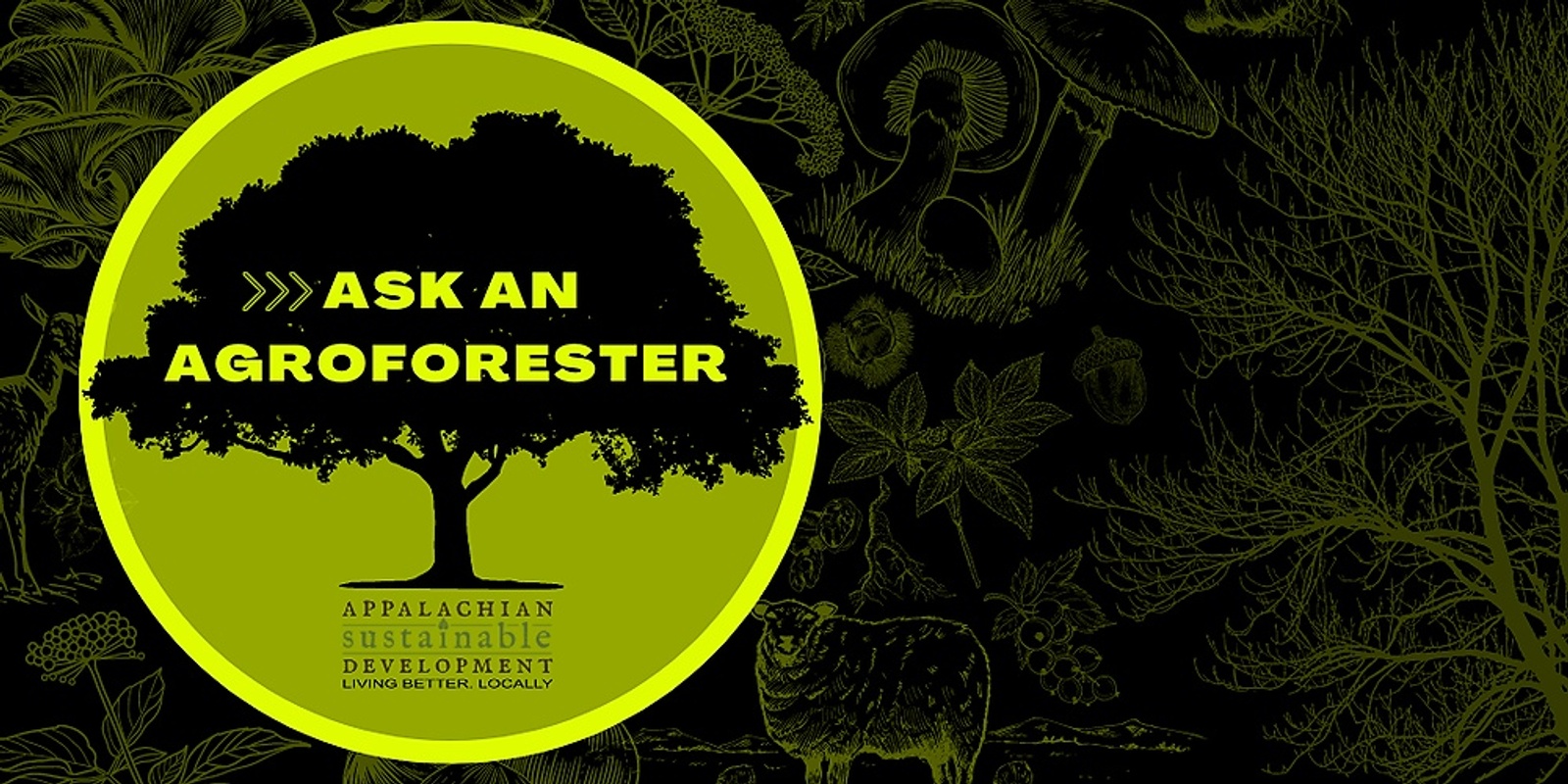 Banner image for Ask an Agroforester Webinar Series
