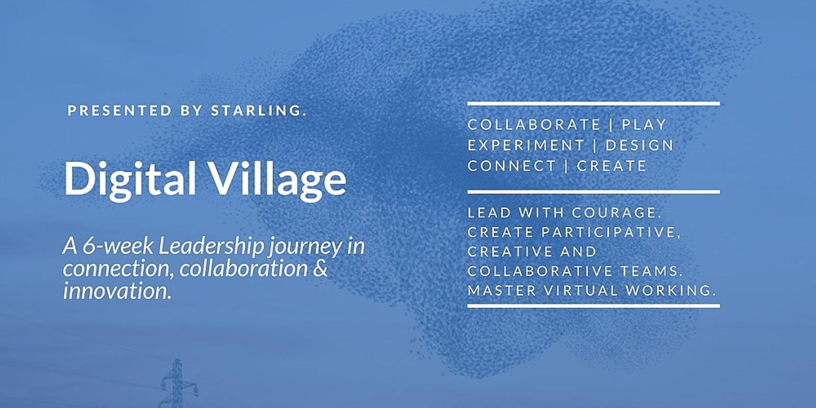 Banner image for Digital Village by Starling