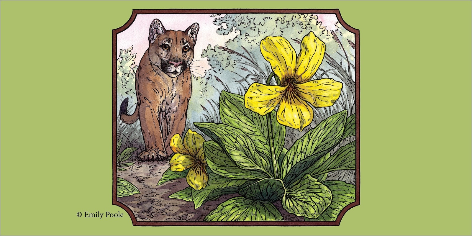 Banner image for Mount Pisgah Arboretum Wildflower Festival