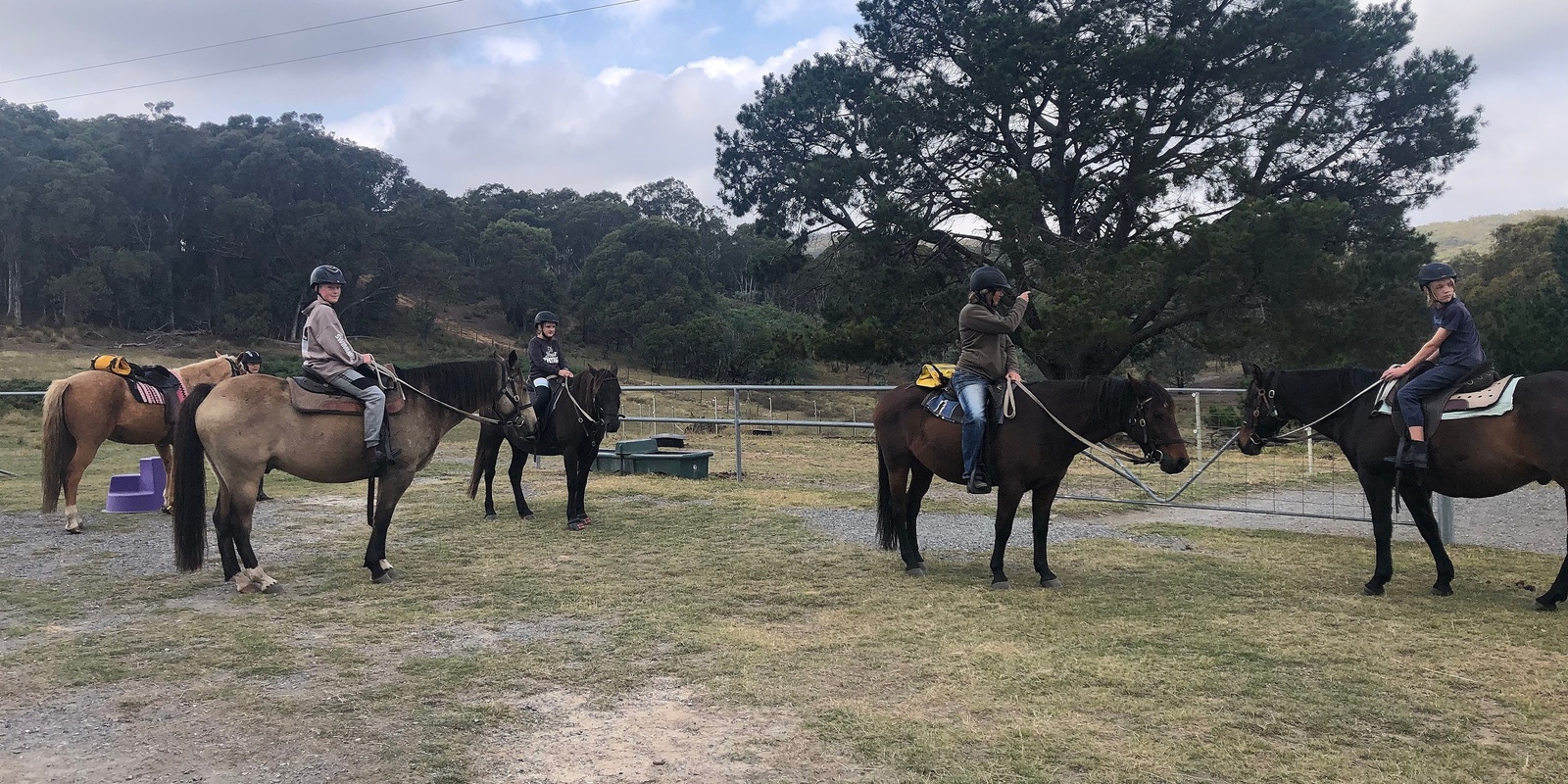 Banner image for Horse Back Riding