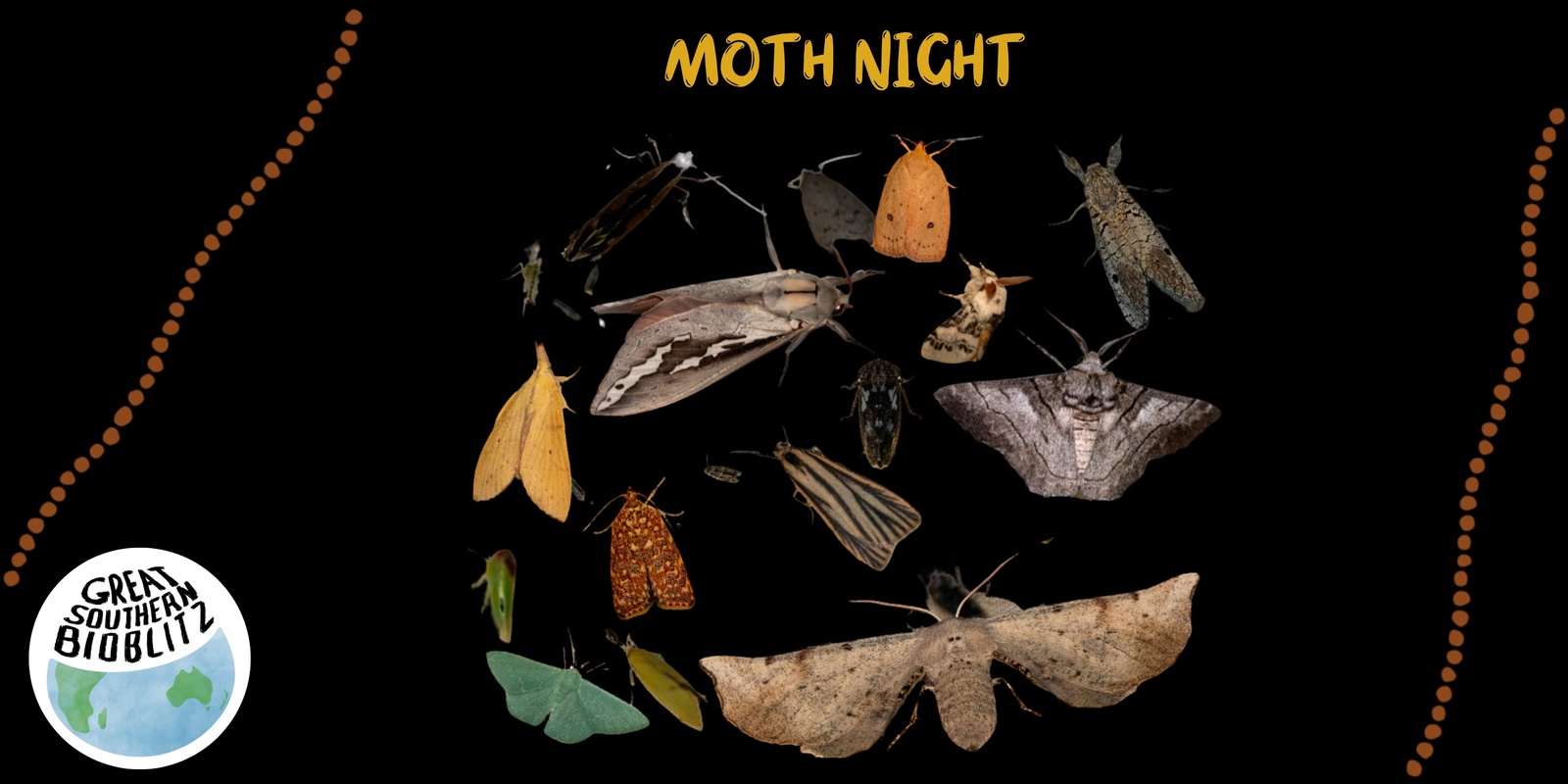 Banner image for Moth night - Castle Creek Bushland Reserve