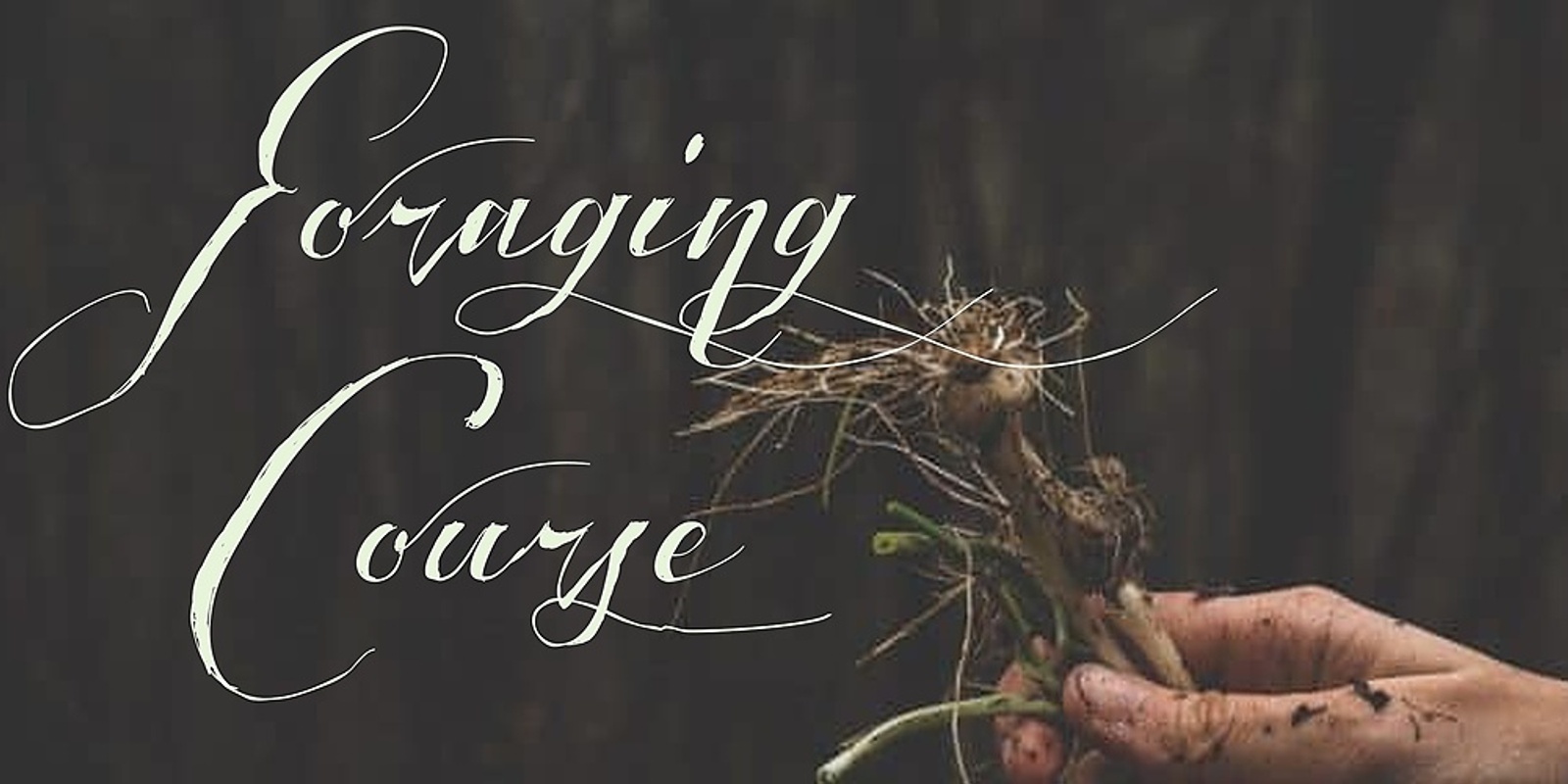 Banner image for Foraging Course Summer 2024