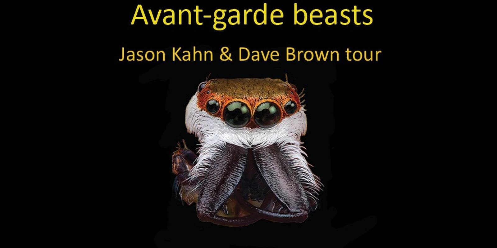 Banner image for Avant-garde beasts:    Jason Kahn & Dave Brown tour +