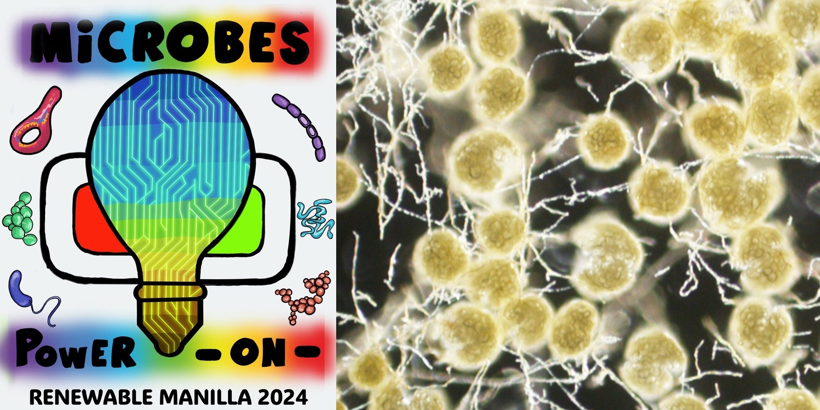 Banner image for Microbes POWER ON