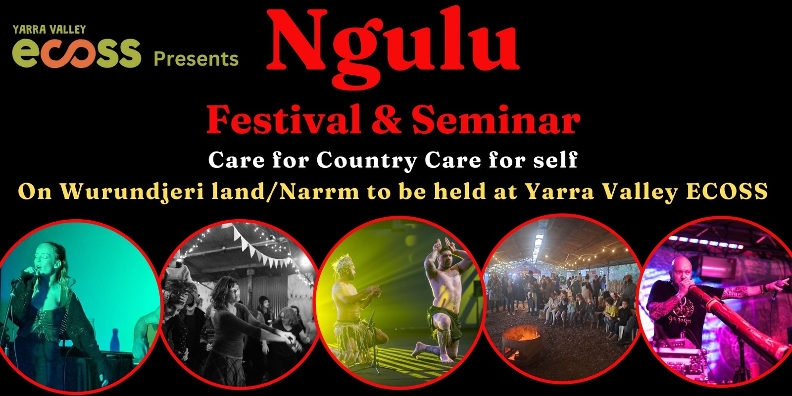 Banner image for Ngulu Festival & Seminar