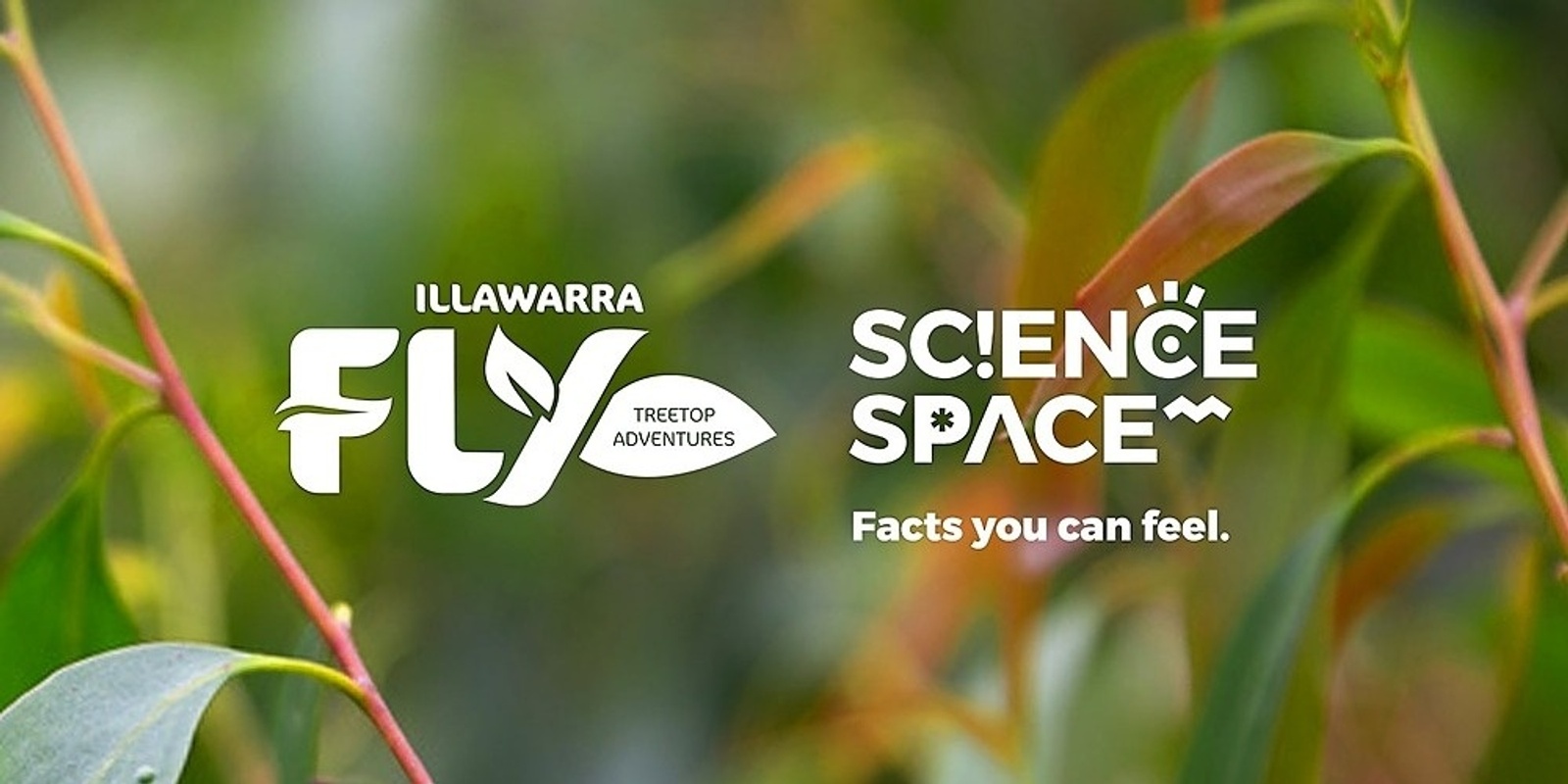 Banner image for Kids Science Space Workshop at Illawarra Fly