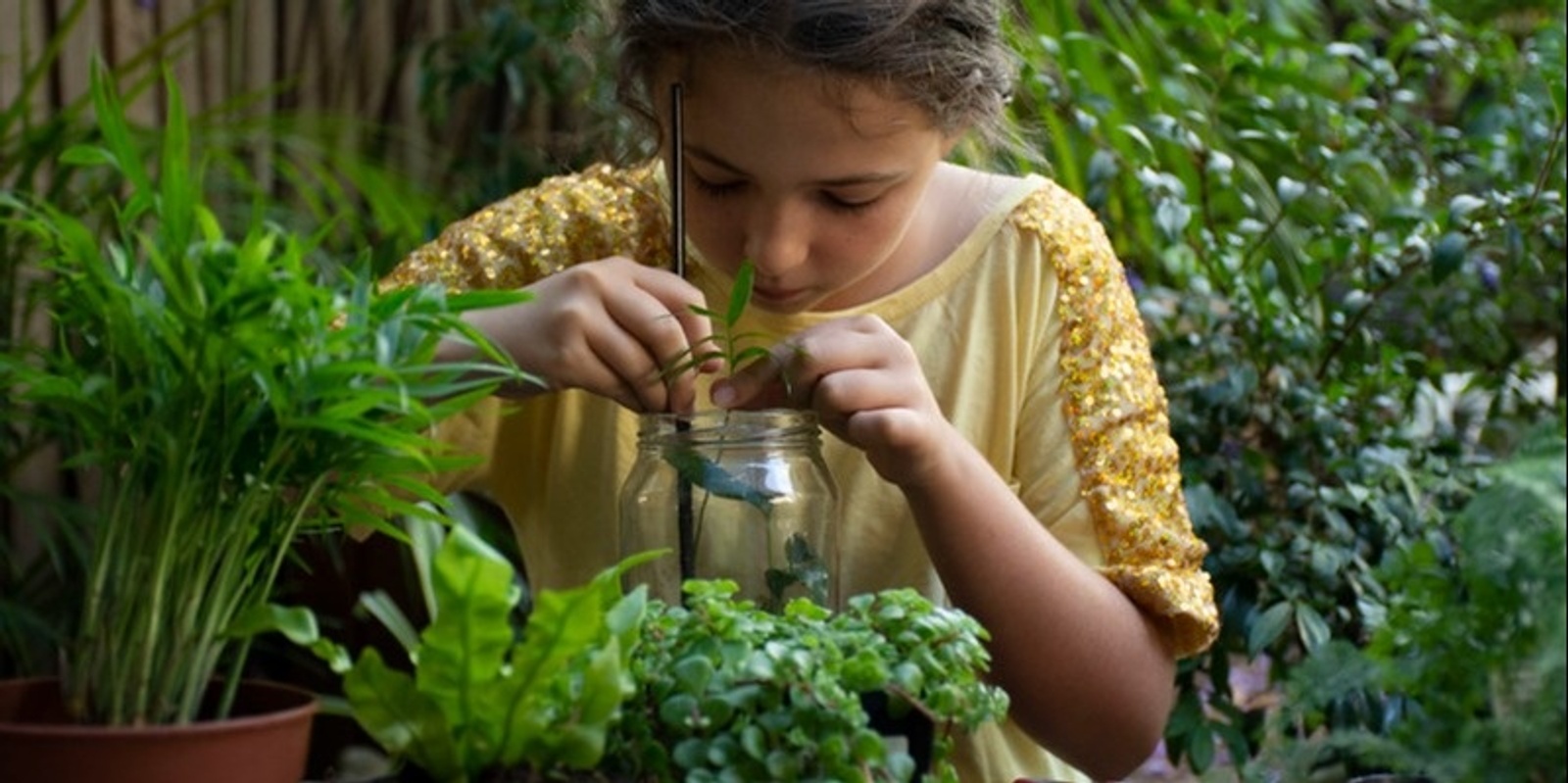 Banner image for Rainforest in a Jar - Royal Botanic Garden Sydney