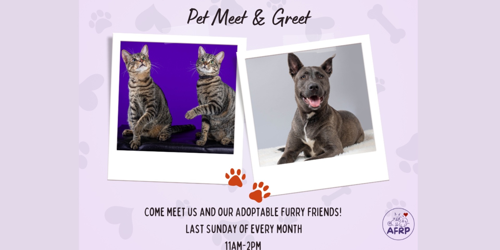Banner image for Pet Meet & Greet