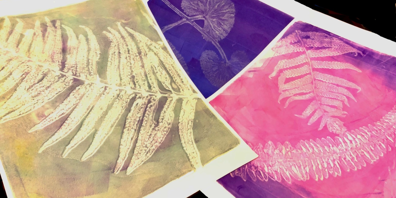 Banner image for Monoprinting - Botanical Printmaking with gel plates