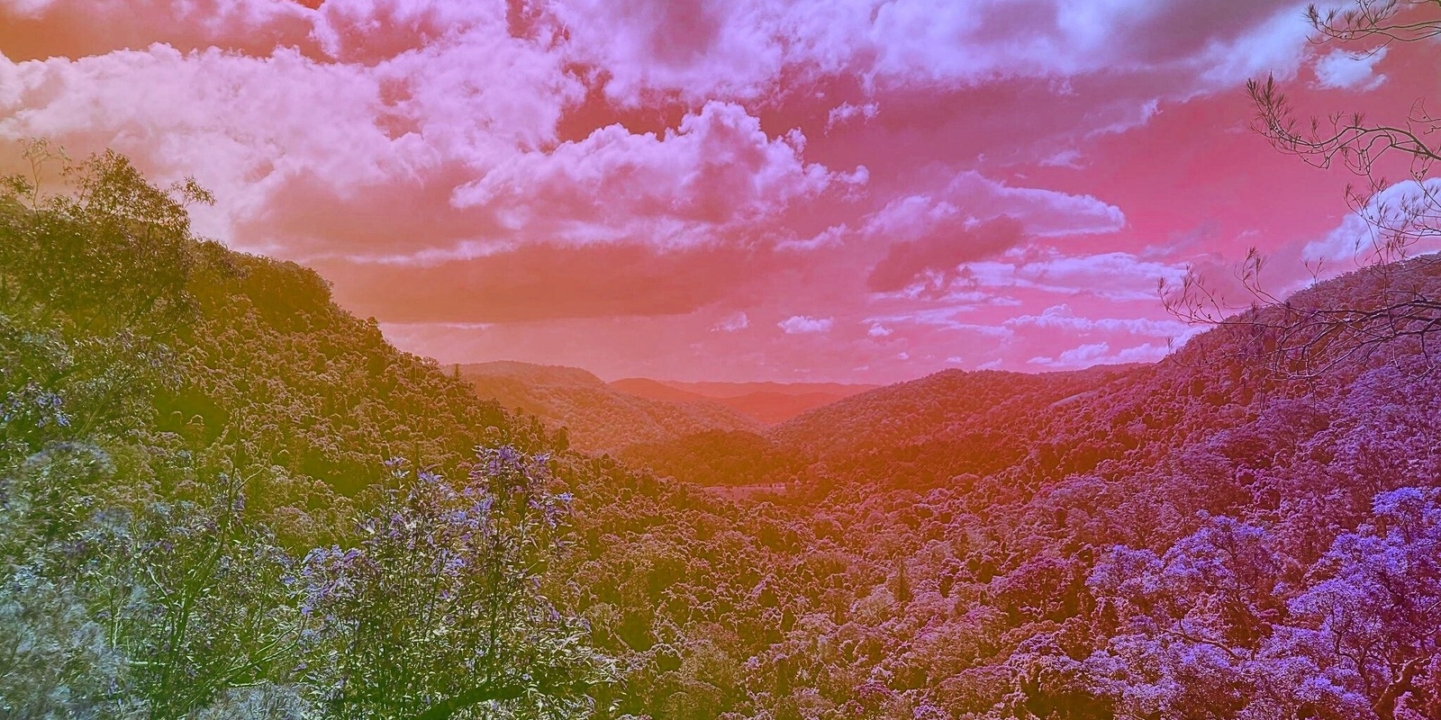 Banner image for Mindfulness Sunset Walking Tour- Mapleton Falls National Park