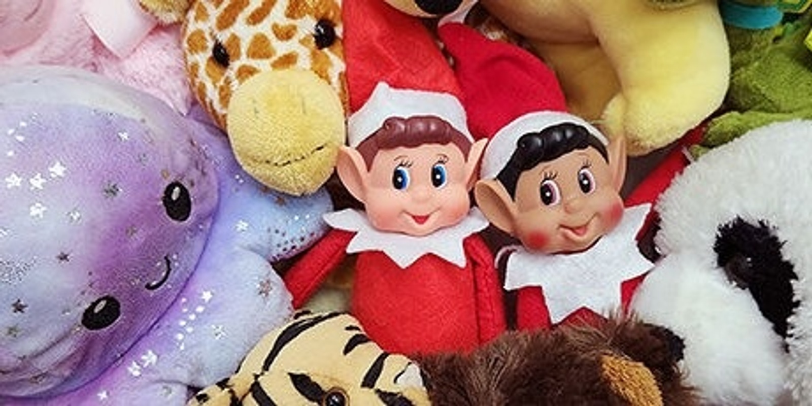 Banner image for Toy Sleepover at Tūranga - x24