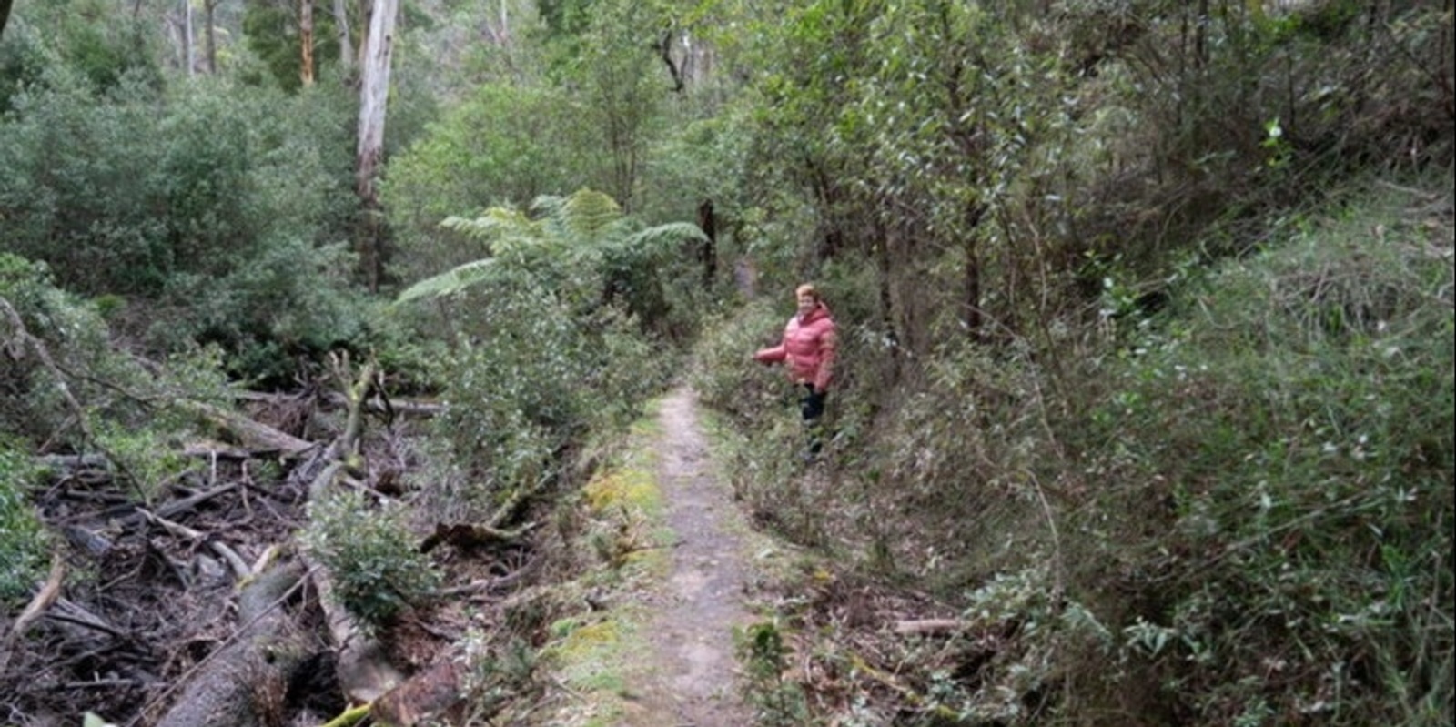 Banner image for Lerderderg Heritage River Walk - Grade 3 (Easy/Medium)