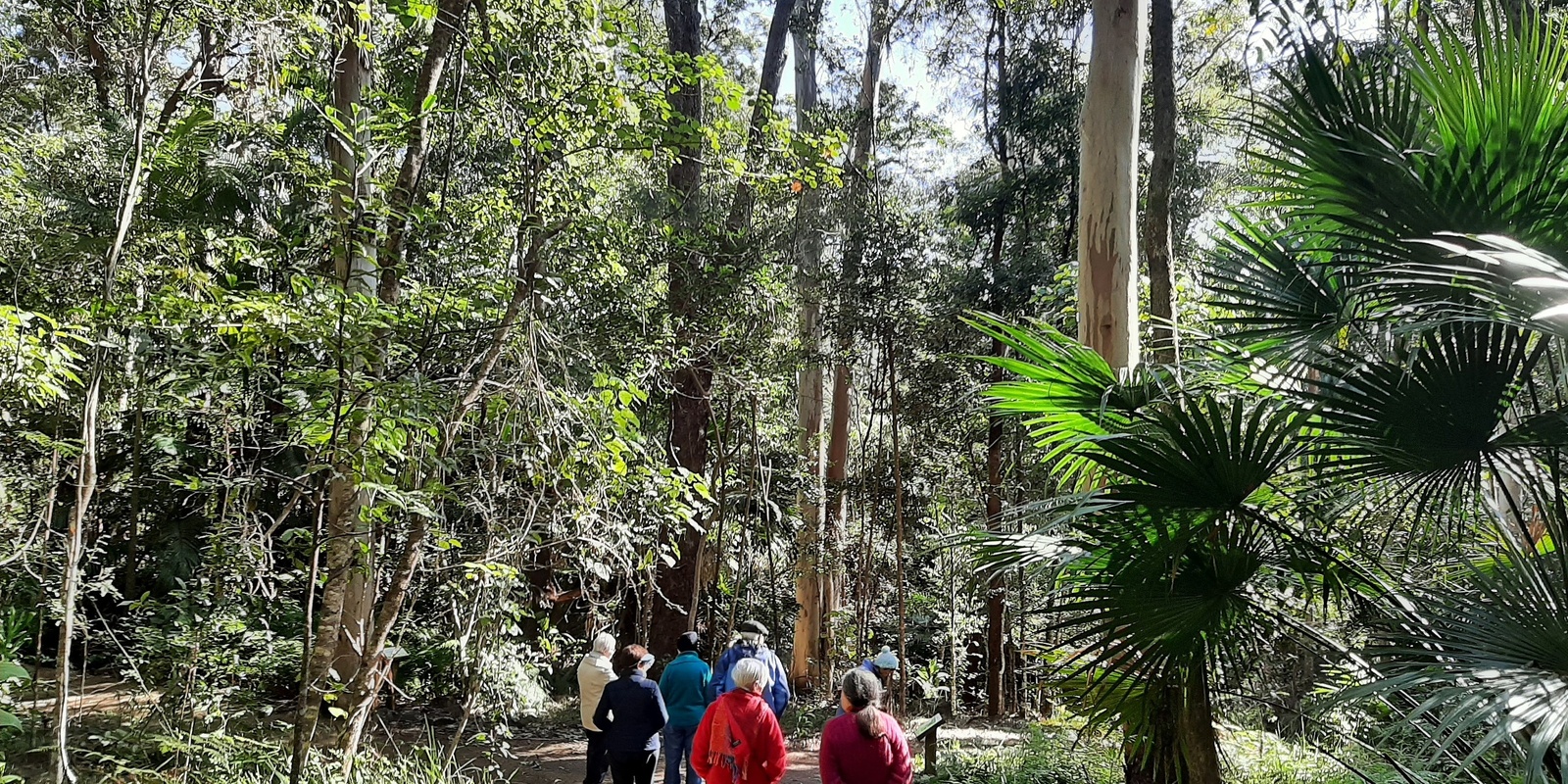 Banner image for Nature connection & journaling workshop at Foote Sanctuary 5 Feb 25