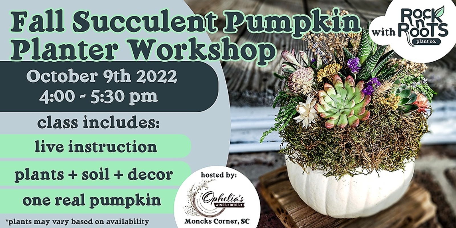 Banner image for Fall Succulent Pumpkin Planter Workshop at Ophelia's Wines & Bites (Moncks Corner, SC)