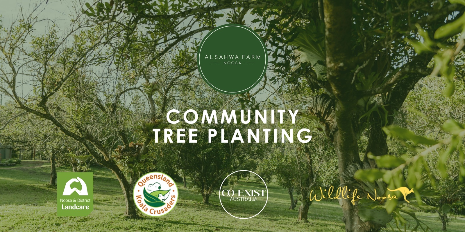 Banner image for Community Tree Planting
